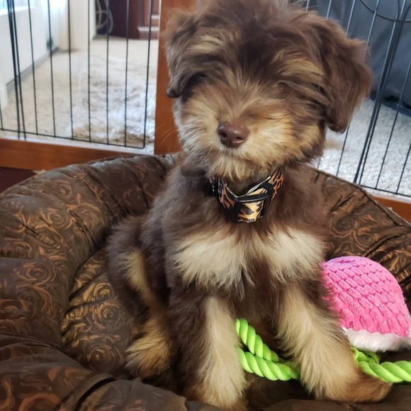 Not for sale - Picture 1 of 1